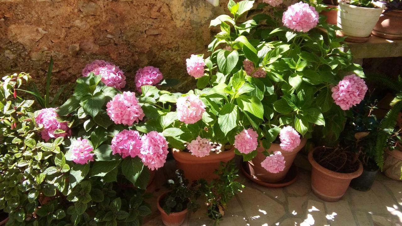 Guesthouse Wish Stari Grad  Exterior foto